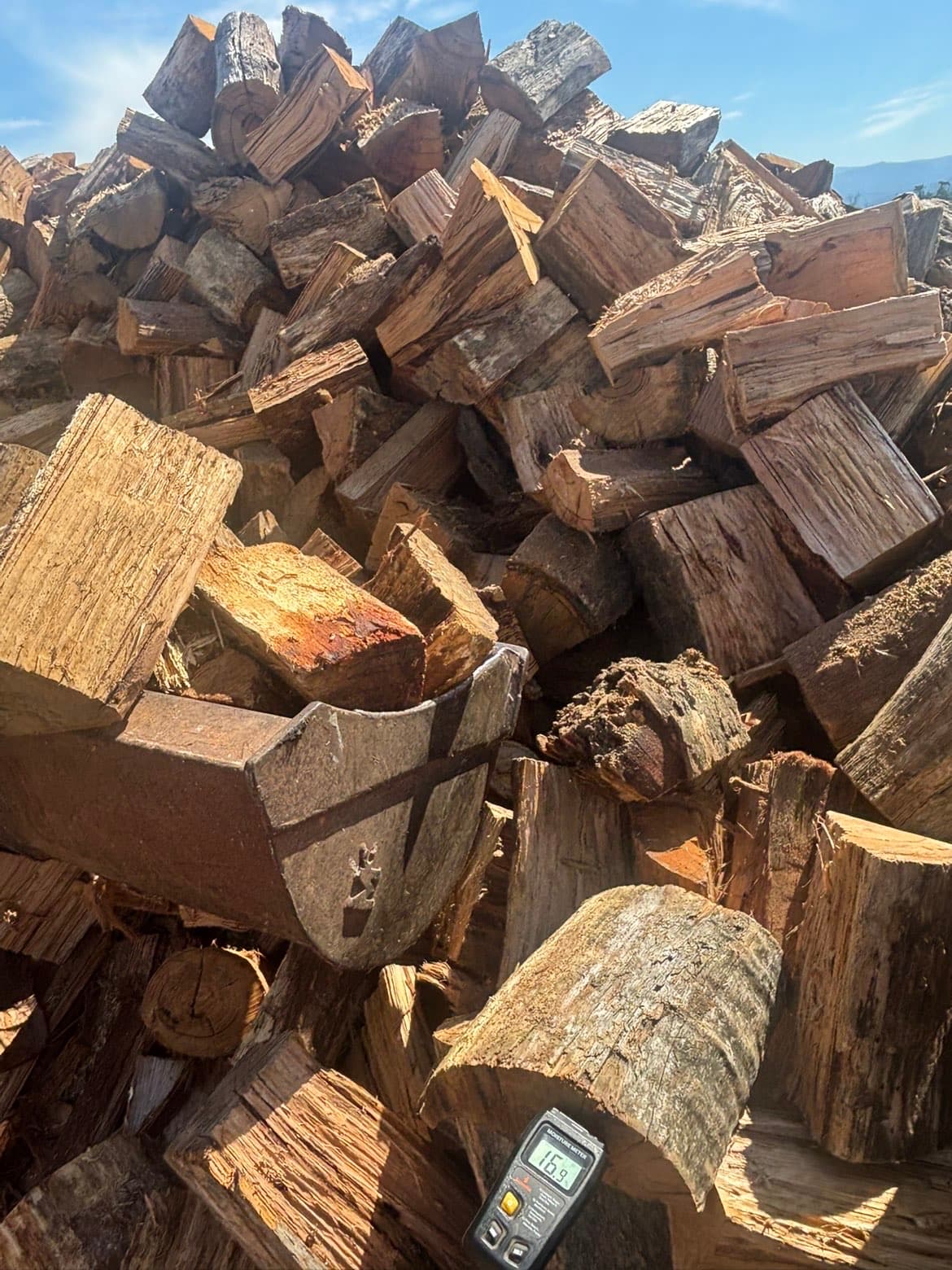 Moisture meter showing 16.9% on seasoned firewood