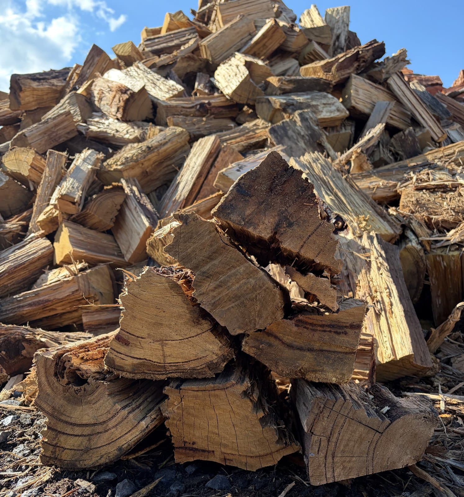 Local hardwood mix firewood close-up from the Longwarry yard